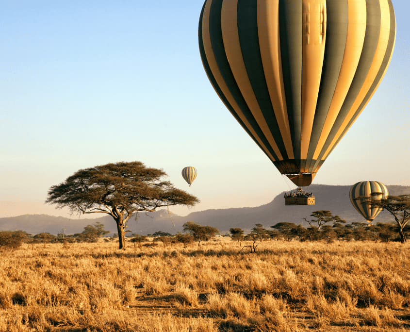 Luxus-Safari Tansania — 10 Tage